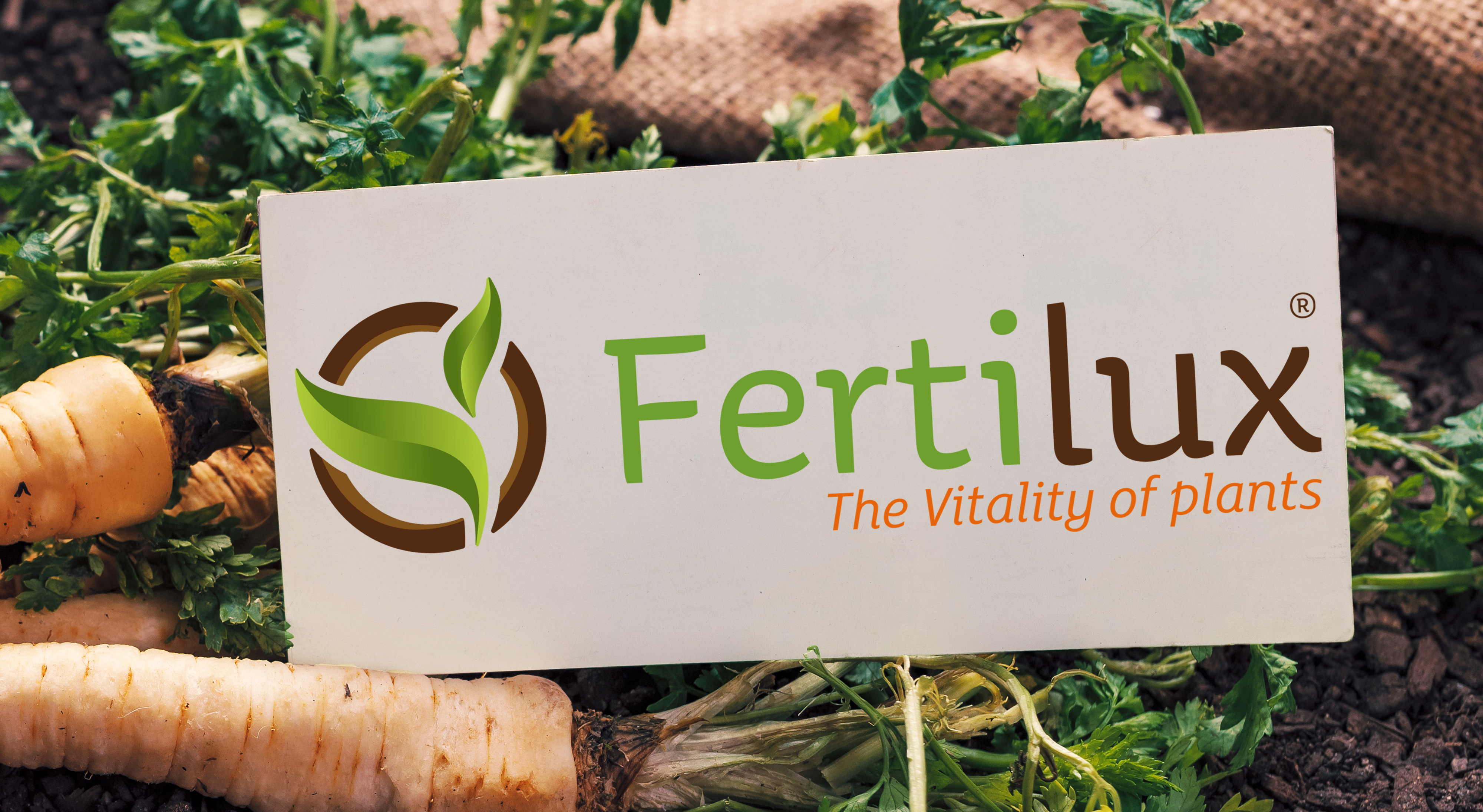 Fertilux logo