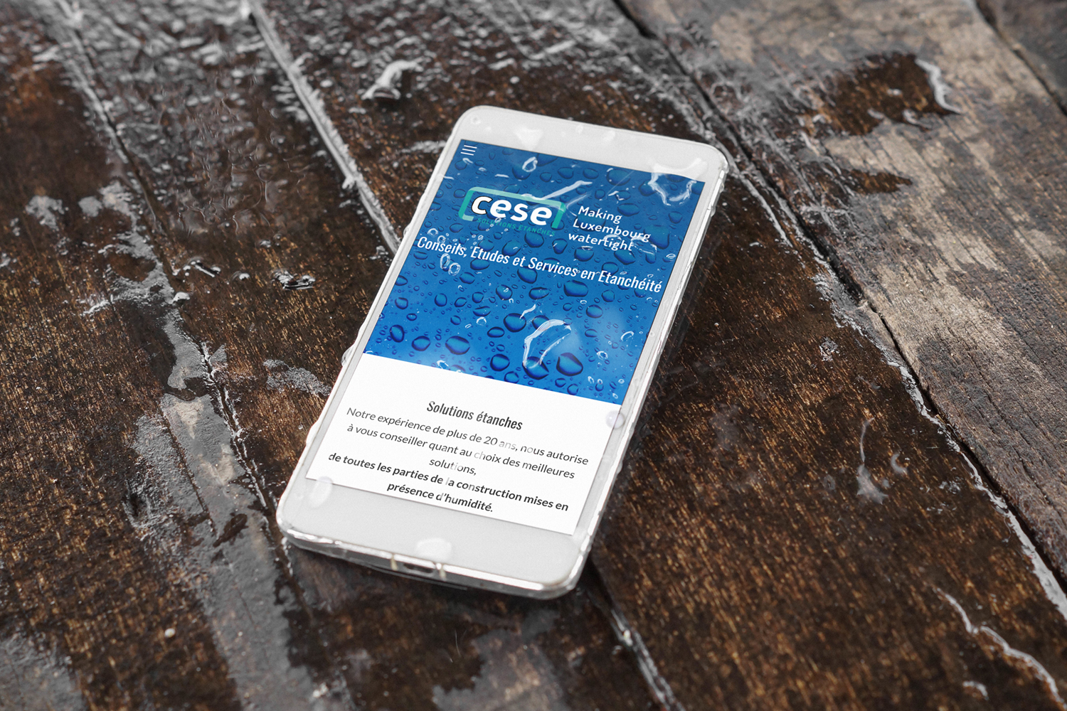 sitewebcese